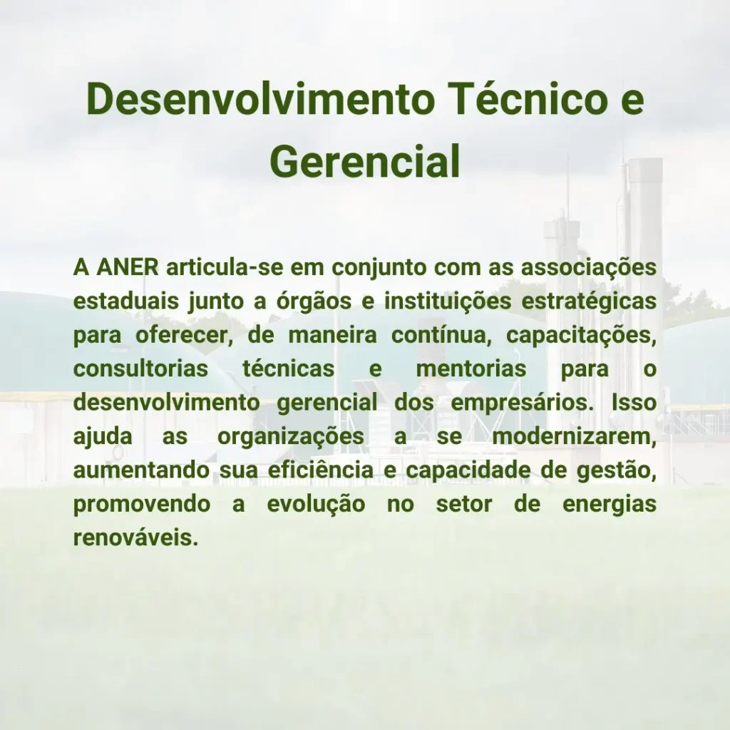 A ANER articula-se em conjunto com as associações estaduais junto a órgãos e instituições estratégicas para oferecer, de maneira contínua, capacitações, consultorias técnicas e mentorias para o desenvolvimento gerencial dos empresários. Isso ajuda as organizações a se modernizarem, aumentando sua eficiência e capacidade de gestão, promovendo a evolução no setor de energias renováveis.