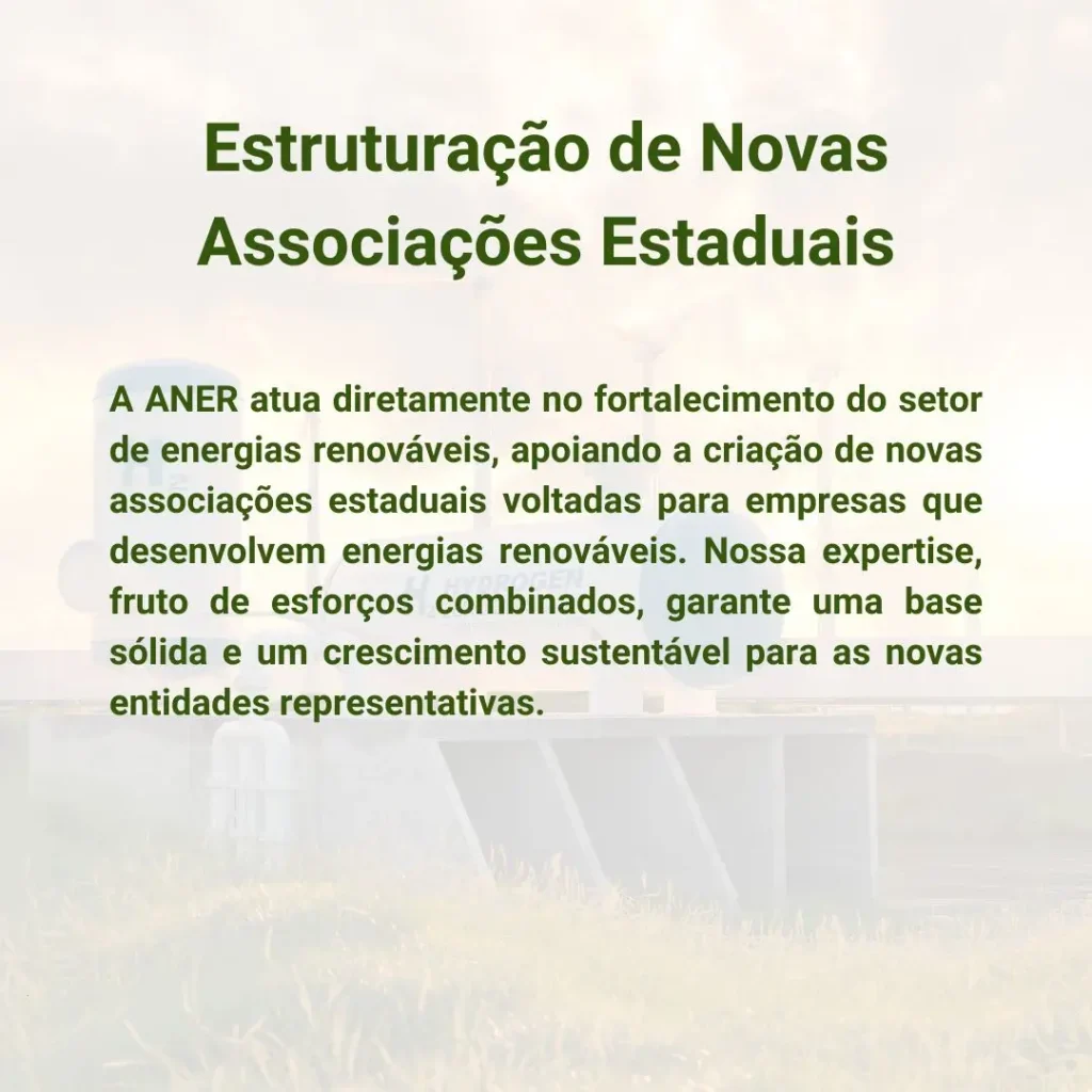 A ANER atua diretamente no fortalecimento do setor de energias renováveis, apoiando a criação de novas associações estaduais voltadas para empresas que desenvolvem energias renováveis. Nossa expertise, fruto de esforços combinados, garante uma base sólida e um crescimento sustentável para as novas entidades representativas.