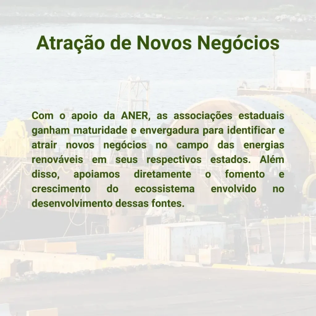 Com o apoio da ANER, as associações estaduais ganham maturidade e envergadura para identificar e atrair novos negócios no campo das energias renováveis em seus respectivos estados. Além disso, apoiamos diretamente o fomento e crescimento do ecossistema envolvido no desenvolvimento dessas fontes.