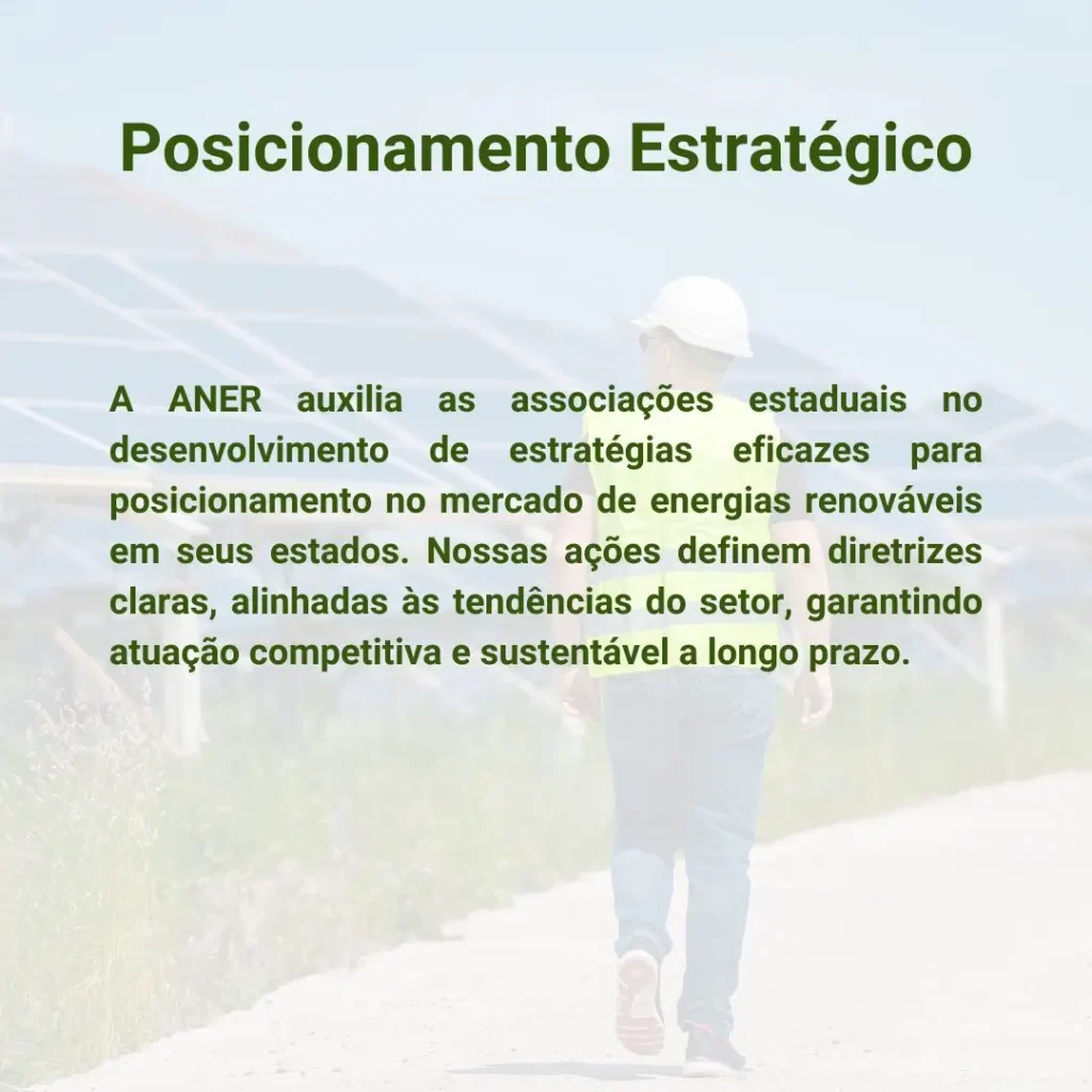 A ANER auxilia as associações estaduais no desenvolvimento de estratégias eficazes para posicionamento no mercado de energias renováveis em seus estados. Nossas ações definem diretrizes claras, alinhadas às tendências do setor, garantindo atuação competitiva e sustentável a longo prazo.